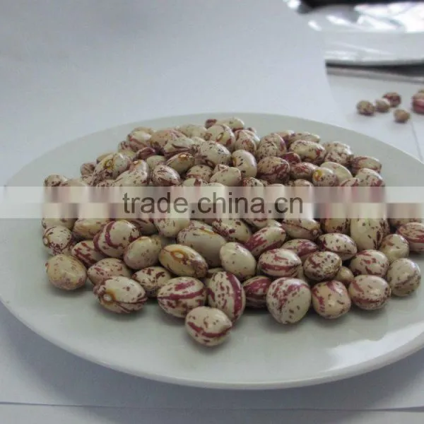 CHITEE BEANS photo-3