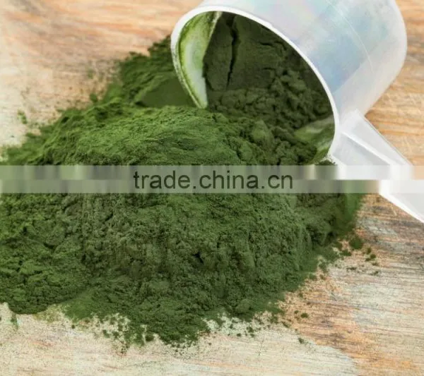 100% PURE SPIRULINA POWDER