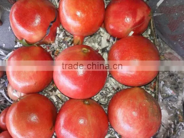 Fresh Pomegranate Fruit Supplier in India / Malaysia / Singapore / Dubai / Maldives / Sri Lanka photo-2