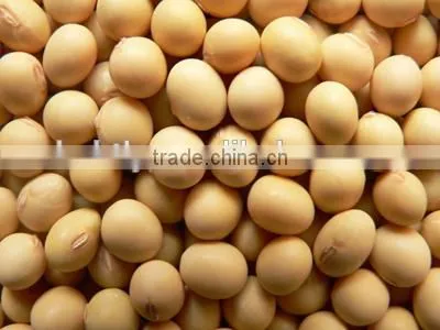 Peanut/ Soybean/ Sunflower Seed Oil Extraction Machine photo-3