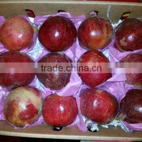 Frozen Pomegranate (Floride, Wonderful) Egypt Origin photo-2