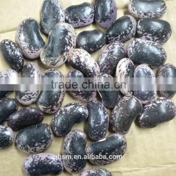 Black Lentiles