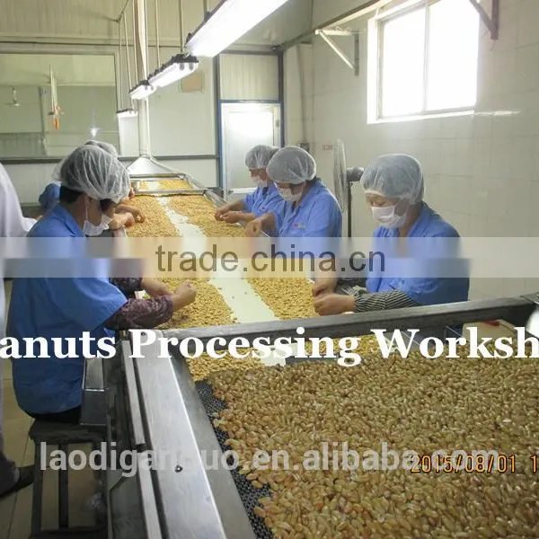 Recommend High Quality and Good Price Blanched Peanut Kernels photo-3
