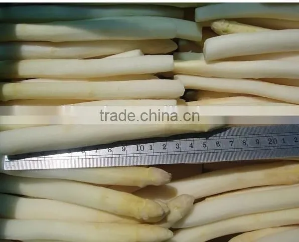 Frozen IQF White Asparagus,Grade A photo-2