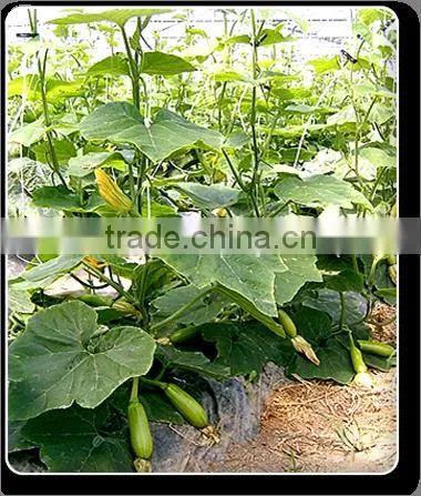 Fertilizer,manure photo-3