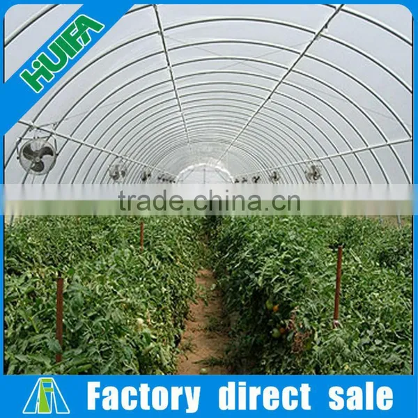 Tunnel Plastic Greenhouse for Strawberries Agriculture Tunnel Greenhouse photo-5
