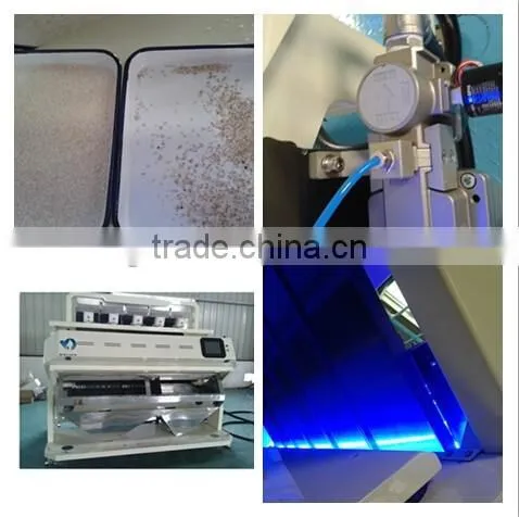 Rice Color Sorter, Rice Sorting Machine, Rice Grader Small Rice Color Sorter Agent Price photo-4
