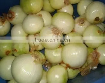 Onion Peeler Peeling Machine Skin Remover Striper photo-3