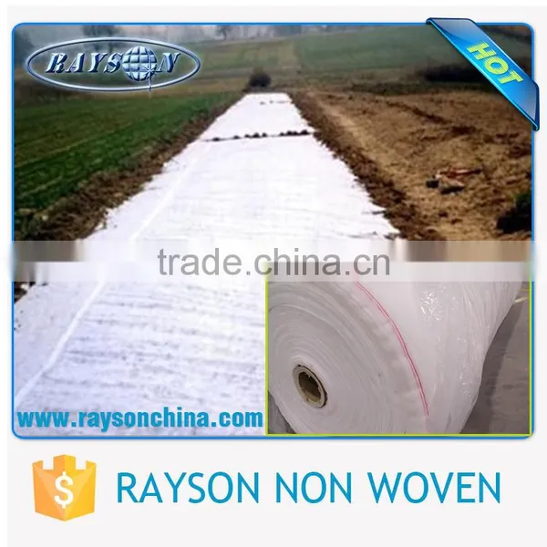 PP Spunbond Weed Control / Ground Cover / Landscape Fabric Wholesale photo-5