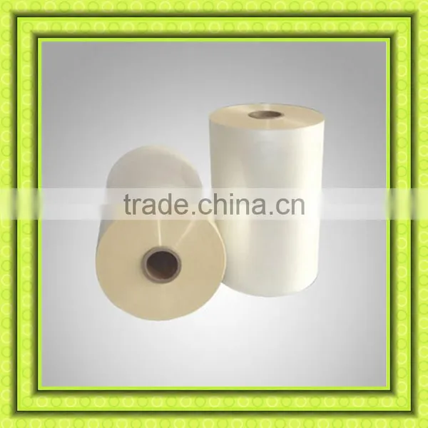 Polyester Pet Film Pet Metalliaed Pet Film for Screen Printing photo-5