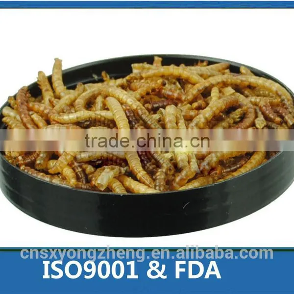 Eco-friendly Bird Food Dried Mealworms;Dried Mealworms for Birdseed photo-2