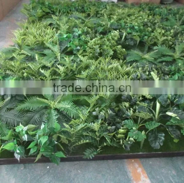 Hot Sale Artificial Green Plant Wall/artificial Green Backdrop for Sale photo-3