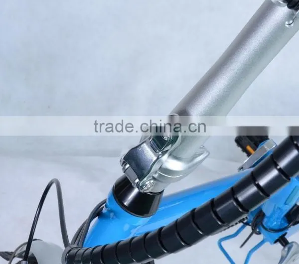 High Quality Foldable Electric Bike 250W Mini Folding Electric Bike for Sale photo-5
