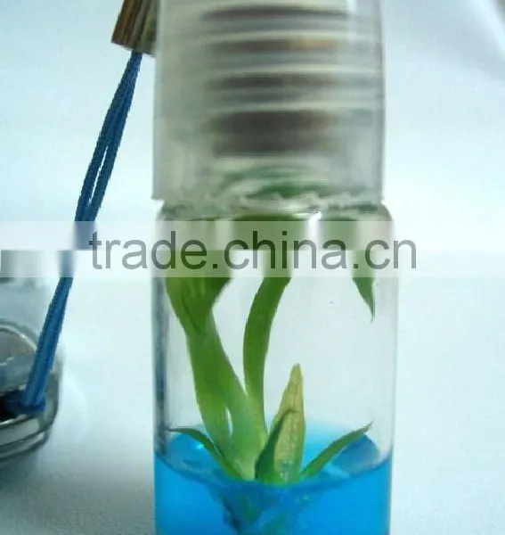 Live Mini Plant and Plant Pet Tree photo-6