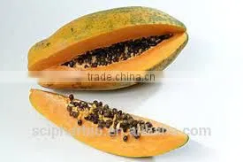 PAPAYA POWDER EXTRACT photo-2