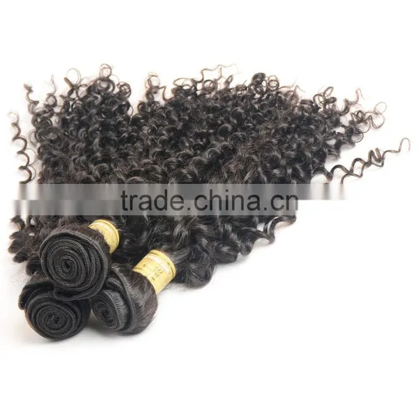 Free Samples Virgin Indian Hair,Raw Unprocessed Indian Human Hair Different Types of Curly Weave Hair photo-3