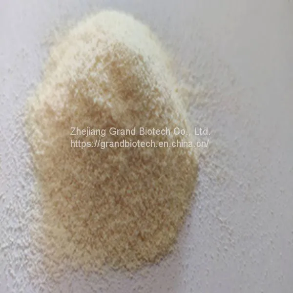 Fish Oil Powder