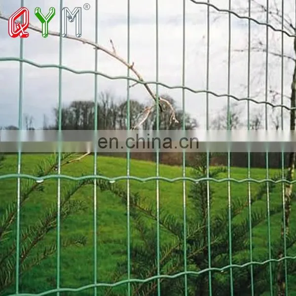 Yard Euro Fencing Welded Holland Mesh Fence photo-4