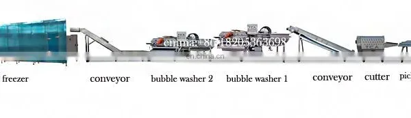 Small Vegetable Washing Machine Vegetable Fruit Washing Machine photo-2