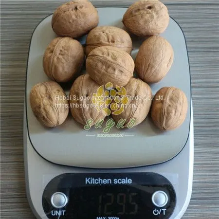 Xin2 Walnut Inshell  New2 Walnut Walnut Inshell Manufacturer in China Walnut Factory