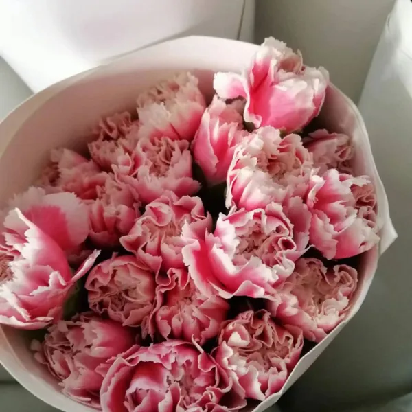 Fresh Cut Berry From China China Fresh Flower Supplier photo-2