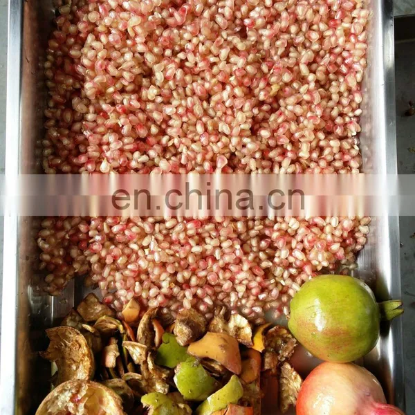 New Design Pomegranate Peeling Machine/automatic Pomegranate Peeling Machine/pomegranate Seeds Peeler photo-4