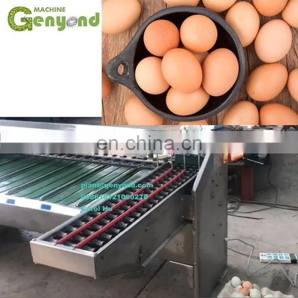Factory Direct Supplier Electronic Automatic Egg Sorting Machine photo-3