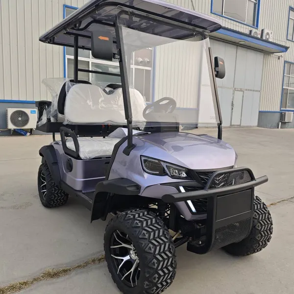 Latest Private - Customized Electric Golf Carts, Sourced From the Original Manufacturer for Export and Foreign Trade photo-2