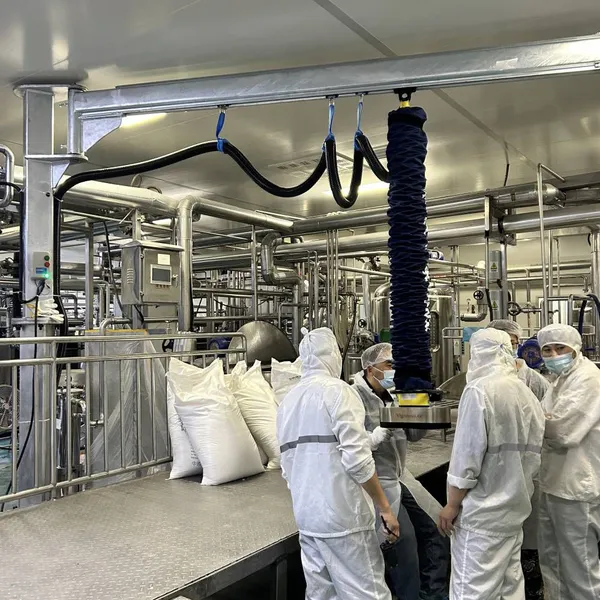 Tracheal Suction Hoist, Vacuum Tracheal Hoist, Vacuum Suction Cup for Handling 50kg Packaging Bags, Feeding, Dosing, Palletizing, Non-standard Customization photo-4