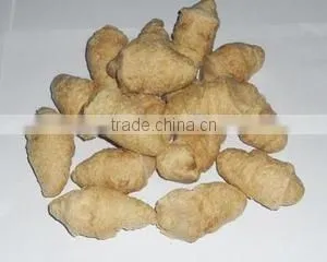 High Quality Textured Soy Protein Food Extruder Machine photo-2