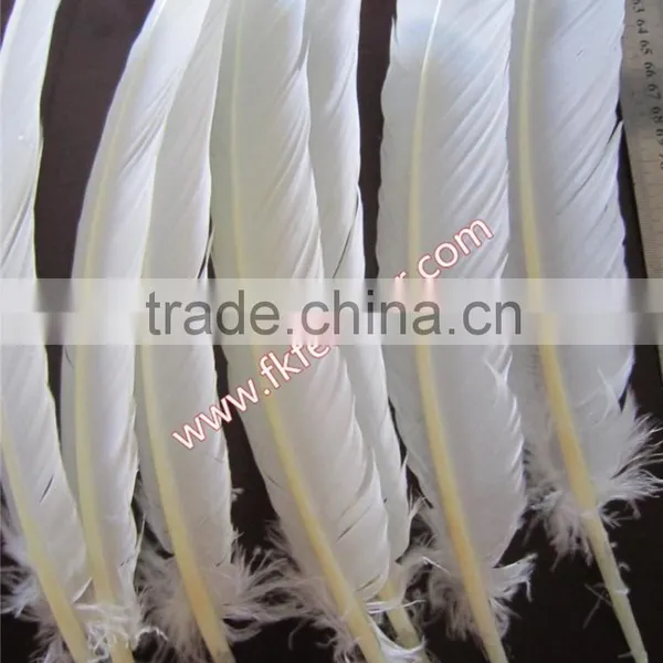 Wholesale Feather Products Natural Turkey Feather For Party Mask And Wedding Decorations photo-2
