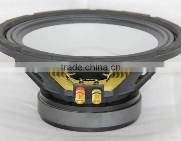 10 Inch 100W RMS Pro Audio Loudspeakers Subwoofer