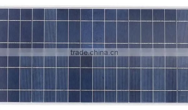 Cheap 72 Cellas Polycrystalline Silicon 300W Schinese Poly Photovoltaics photo-6