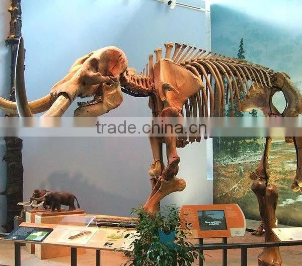Newest Best Quality Made in China Dinosaur Replica for Sale