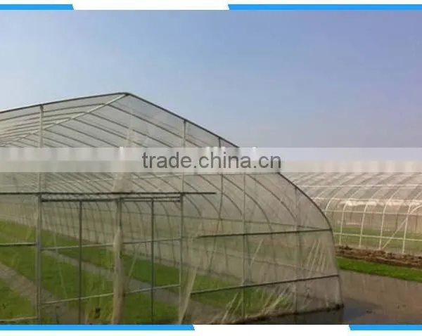Anti Whitefly Net photo-3