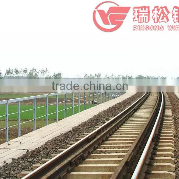 Spring Steel Wire Manufacturer photo-4