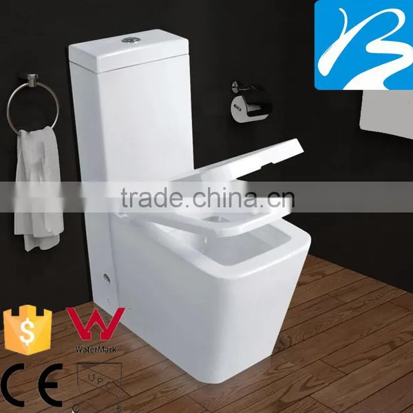 CE Certified Washdown Two Piece Toilet photo-3