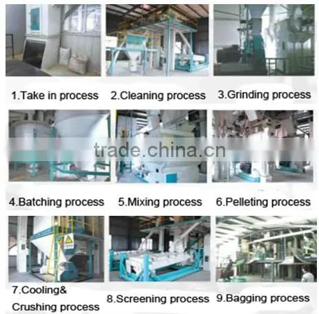 Factory Price Pellets Processing Line photo-5