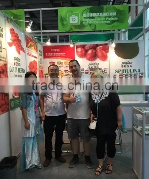 Hot Selling Goji Berry or Goji Berries photo-6
