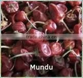 Round Red Chilles photo-6