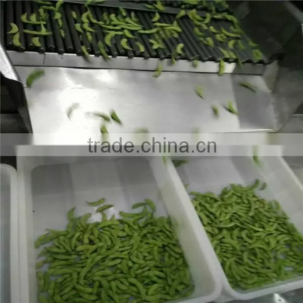 Chinese Frozen Green Soy Bean, IQF Edamame photo-3