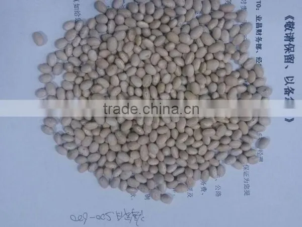 Canned Red Kidney Beans White Kidney Bean photo-5