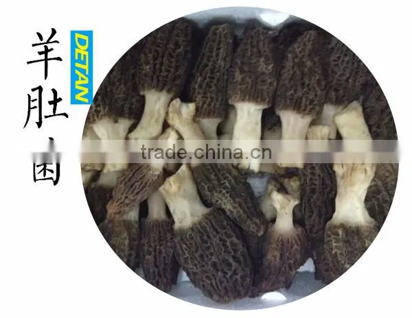 Dried Morchella Esculenta Made in China photo-6
