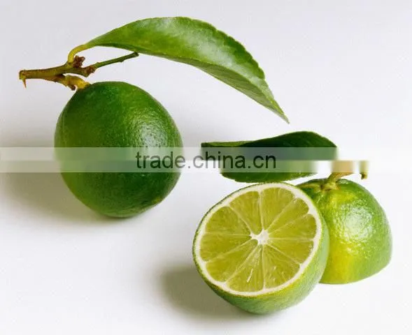 100 % NATURAL LIME OIL OEM / ODM / GMP / ISO Approved ( Citrus Aurantifolia )