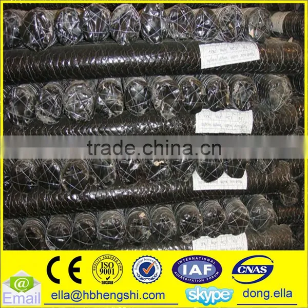 Hexagonal Mesh/Hexagonal Wire Mesh photo-6