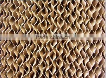 Cellulose Pad