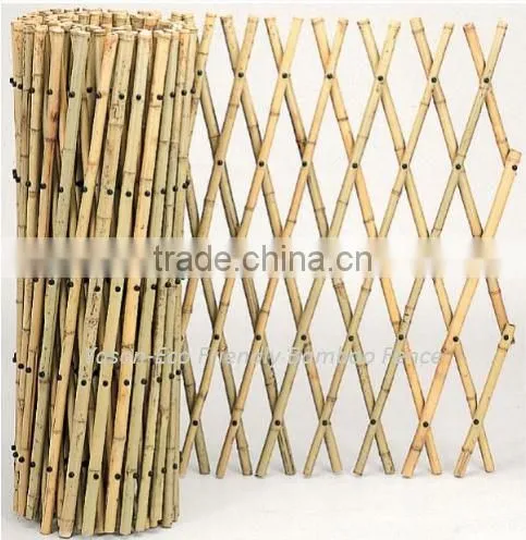 WY-210 Eco Friendly Feature and Fencing,Fencing, Decorative Bamboo, Trellis & Gates, Bamboo Wall, Panel Type Make Bamboo Fence photo-4