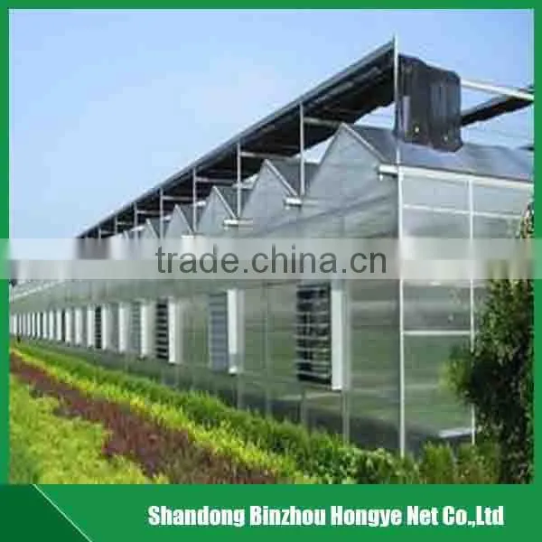 Hdpe Agricultural Sun Shade Net Greenhouse Shade Net for Vegetable and Fruit photo-3