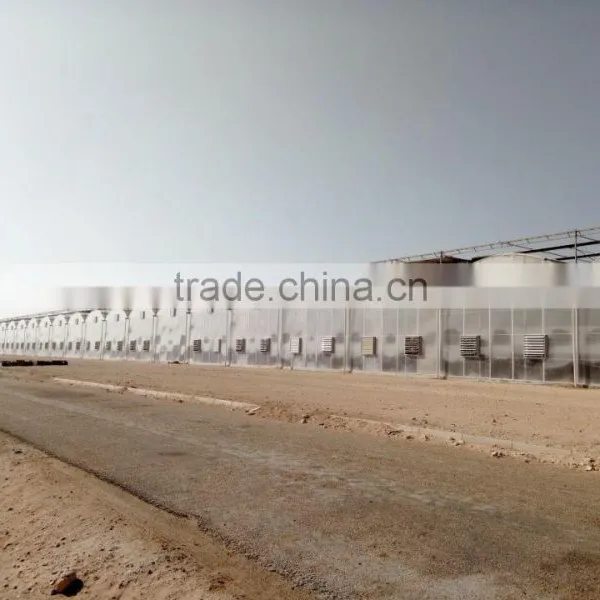 Middle East Greenhouse photo-2