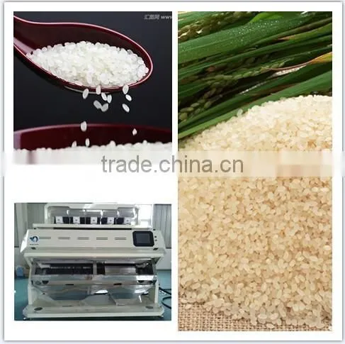 MIngder Millet/Sorghum Rice Color Sorter Machine With Competive Price photo-4